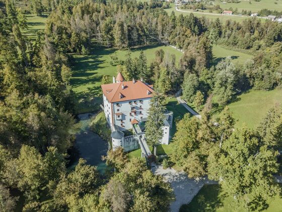 古老斯洛文尼亚美丽的格拉德斯内尼克白色城堡的空中拍摄湖泊森林自然
