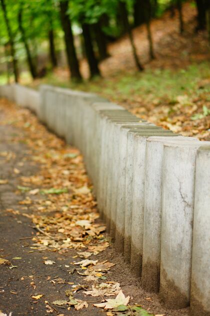 水泥选择性聚焦垂直拍摄的圆柱形水泥块在公园里地面实体屏障