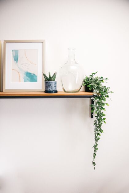 白色墙一个画框 室内植物 白色墙上的透明玻璃容器的垂直拍摄室内房子客厅
