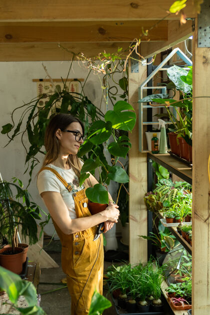 生长年轻的女园丁或花店女孩拿着花盆和莫斯特拉在家里的花园或温室工作家务自然家庭花园