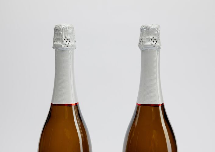 节日带模型的香槟瓶模型酒精庆祝