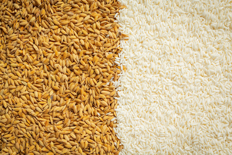 大米稻谷和白米墙纸细节收获必需蛋白质