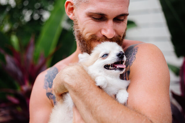 毛茸茸的年轻英俊的胡须野蛮的纹身快乐男人抱着波美拉尼亚斯皮茨玩可爱的宠物休闲深色人