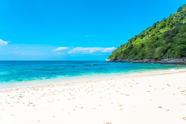 田园诗美丽的热带海滩 大海 椰子树 蓝天白云环绕树叶冲浪海湾