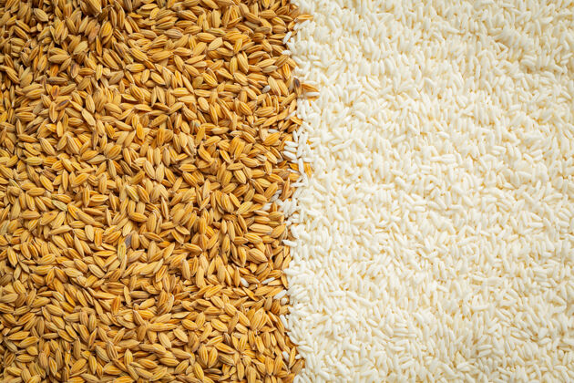 大米稻谷和白米墙纸细节收获必需蛋白质